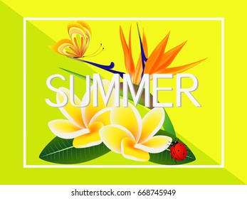 Summer banner, frangipani (Plumeria) with a paradise flower and a butterfly.