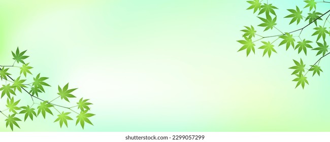 Summer banner or header illustration with blue maple branch and green gradation background. Vector illustration.