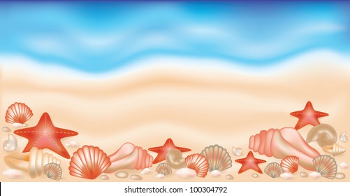 Summer banner  on sand with shells and starfishes,  vector illustration