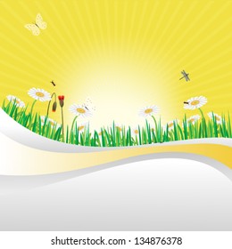 Summer banner with sunny sky.Vector eps10, illustration.