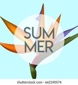 Summer banner template leaf flower, poster. Summer realistic illustration for greeting card, invitation. Colorful vector background