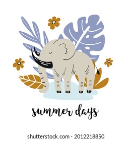 Pancarta de verano con elefante lindo y elementos dibujados a mano. Excelente para la ropa infantil, decoración infantil. Ilustración vectorial