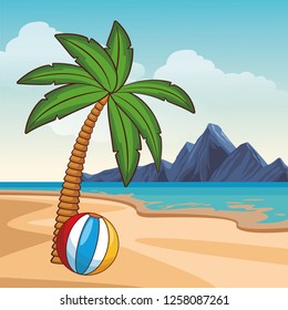 Summer and beach cartoon