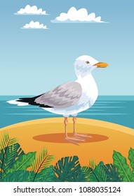 Summer and beach cartoons
