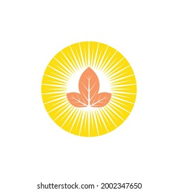 summer beach coast island, sea ocean with birds and summer sun rays logo design inspiration