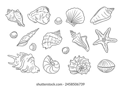 Summer beach doodle set of seashells. Collection of hand drawn contour drawing of oyster mollusk and snail shells in simple linear style. Modern minimalist outline icon set