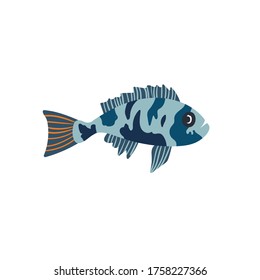Summer, Beach, fish, Seaweed, doodle isolated on a white background. Hand draw cartoon Scandinavian nordic design style for fashion or interior or cover or textile or background.