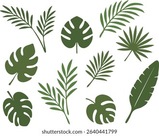 Summer beach palm tree leaves