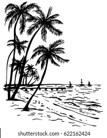 Summer beach with palm trees; hand drawn Sketch illustration of palm trees and sea view