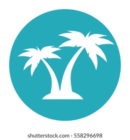 summer beach with palms