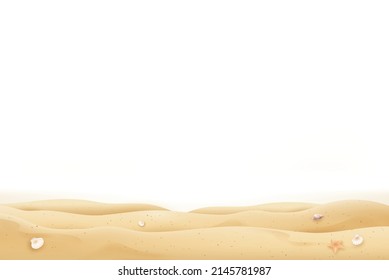 Summer beach sand and seashells on white background with copy space 