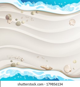 Summer beach with sea shells