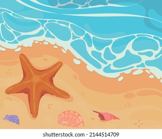 playa de verano y mar con peces estrella