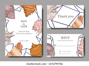Summer beach seashell tropical elements