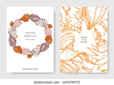 Summer beach seashell tropical elements