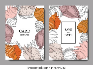 Summer beach seashell tropical elements