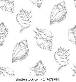 Summer beach seashell tropical elements