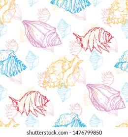 Summer beach seashell tropical elements