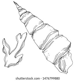 Summer beach seashell tropical elements