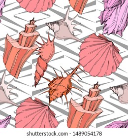 Summer beach seashell tropical elements. Engraved ink art. Seamless background pattern. Fabric wallpaper print texture on white background.