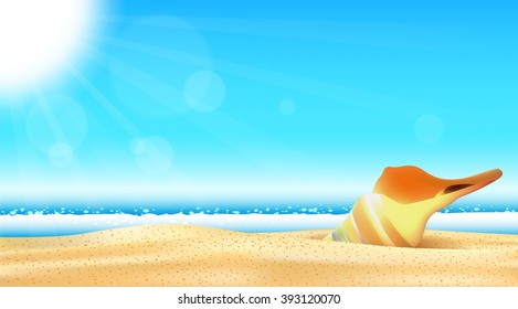 Summer Beach. shell on the seashore