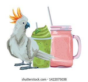 summer beach and vacation with cockatoo and smoothie drink icon cartoon vector illustration graphic design