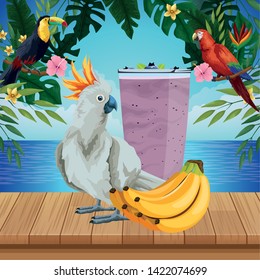 summer beach and vacation with cockatoo, tropical fruit and smoothie drink icon cartoon over the wooden floor with seascape vector illustration graphic design