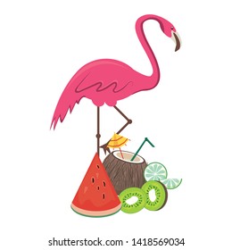 summer beach and vacation with coconut beverage, flemish, watermelon icon cartoons vector illustration graphic design