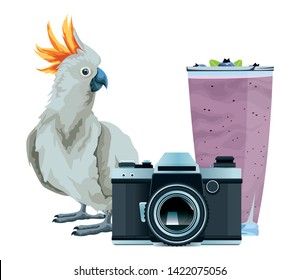 summer beach and vacation with photographic camera, cockatoo and smoothie drink icon cartoon vector illustration graphic design