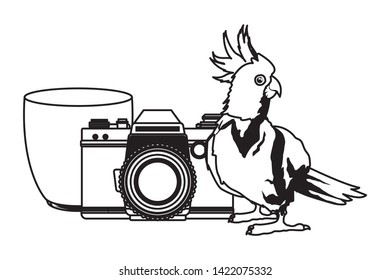summer beach and vacation with photographic camera, cockatoo and smoothie drink icon cartoon in black and white vector illustration graphic design