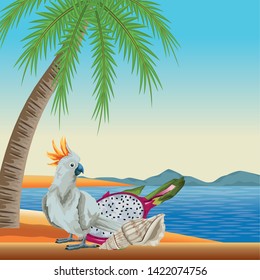 summer beach and vacation with seashell, cockatoo and tropical fruit icon cartoon over the beach with seascape vector illustration graphic design