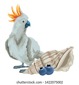 summer beach and vacation with seashell, cockatoo and tropical fruit icon cartoon vector illustration graphic design