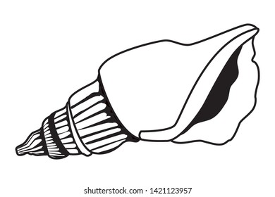 summer beach and vacation with seashell icon cartoon in black and white vector illustration graphic design