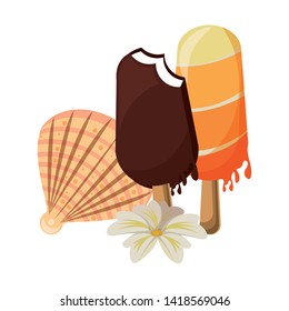 summer beach and vacation with shells and ice lolly icon cartoons vector illustration graphic design