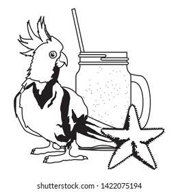 summer beach and vacation with starfish, cockatoo and smoothie drink icon cartoon in black and white vector illustration graphic design