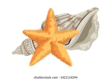 summer beach and vacation with starfish and seashell icon cartoon vector illustration graphic design