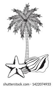 summer beach and vacation with, starfish, seashell and palm icon cartoon in black and white vector illustration graphic design