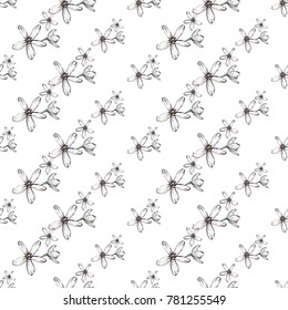 Summer beach vector seamless pattern with white flowers. Bright endless background with summertime holidays symbols. Hand draw illustration.