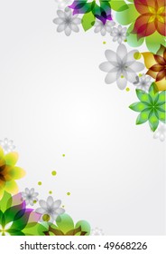  summer BEAUTIFUL flower