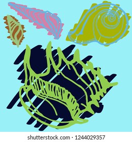 Summer beautiful kit animal shell multicolor sea.