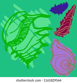 Summer beautiful set animal shell multicolor sea.