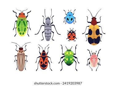 Summer beetles set. Wild bugs with multicolored wings. Fauna, nature species, insects with spots and stripes, patterns. Ladybug, firebug. Flat vector illustrations isolated on white background