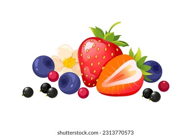 Summer berries composition. Vector illustration