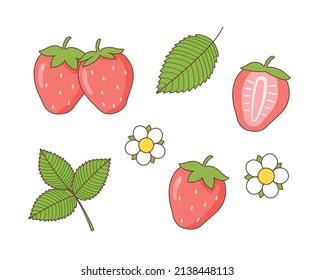 Summer berries set of strawberry	