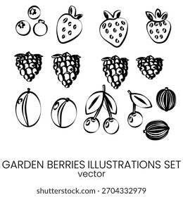 Summer berries vector collection for food posters.