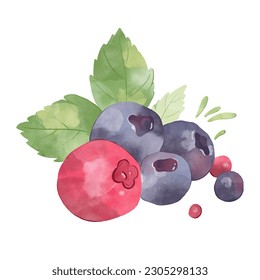 summer berries in watercolour art. Berries isolated for juice package, ice-cream. Blueberry with leaves clipart 