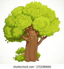 Summer big old tall tree with lush green foliage vector drawing isolated on white background