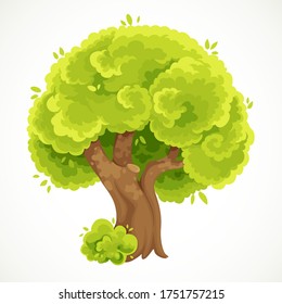 Summer big old thick tree with green foliage vector drawing isolated on white background