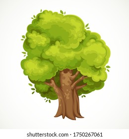 Summer big old tree with green foliage vector drawing isolated on white background