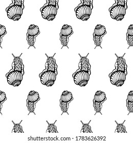 Patrón veraniego sin soldadura en blanco y negro con caracoles de tinta dibujados a mano - diseño de tela o papel de envoltura